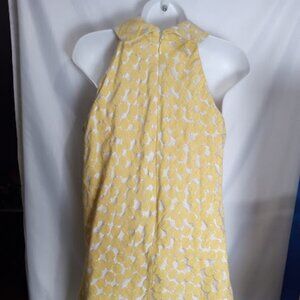 Corey lynn calter sleeveless dress